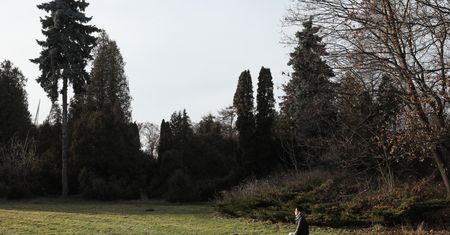 Nowy rok, nowy rekord. Tak ciepło w styczniu jeszcze nie było