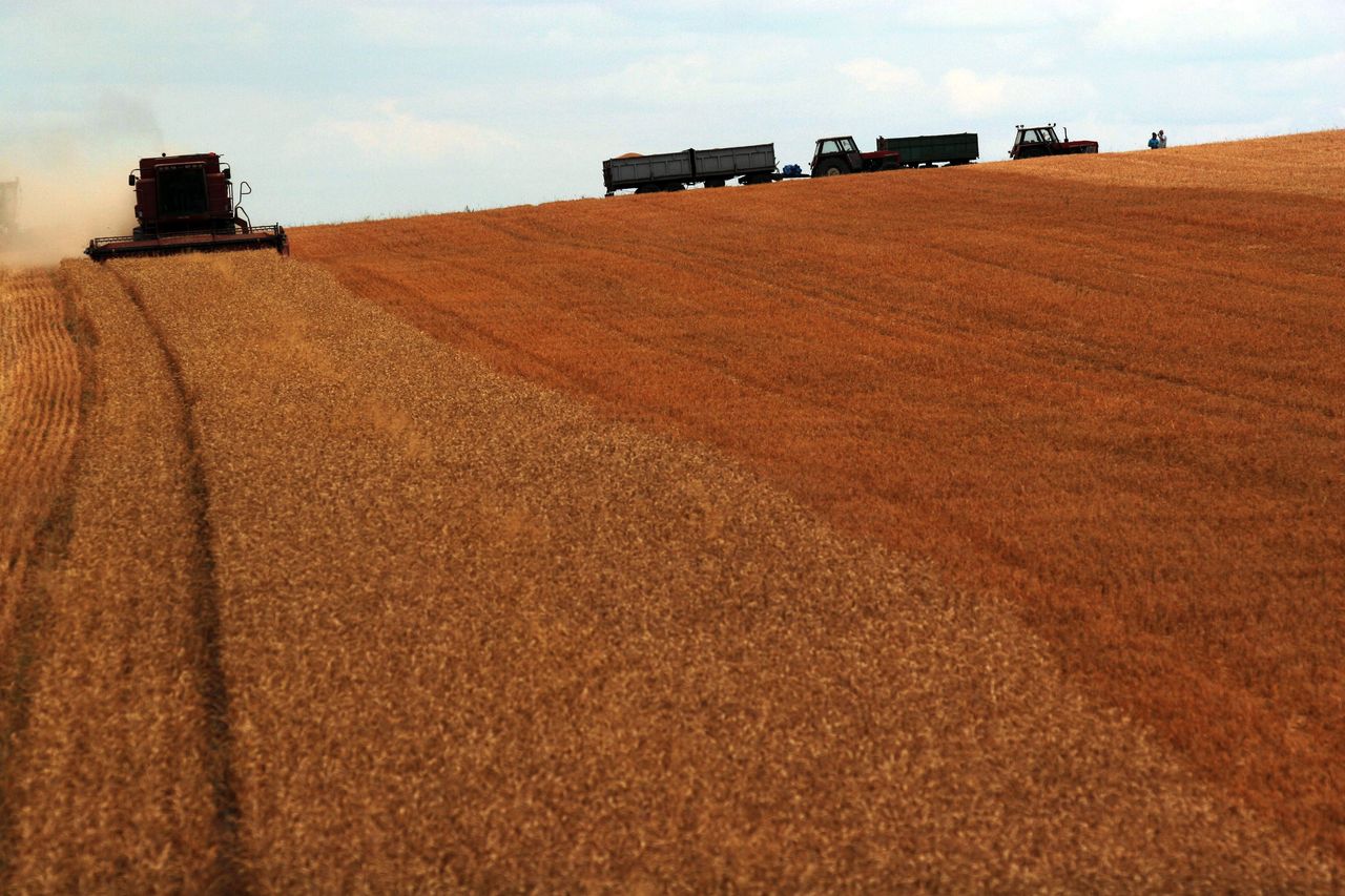 Kasa Rolniczego Ubezpieczenia Społecznego. Jak działa KRUS?