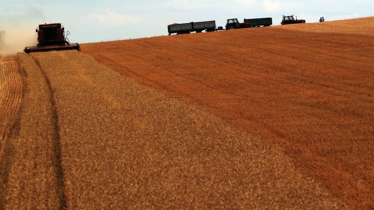Kasa Rolniczego Ubezpieczenia Społecznego. Jak działa KRUS?