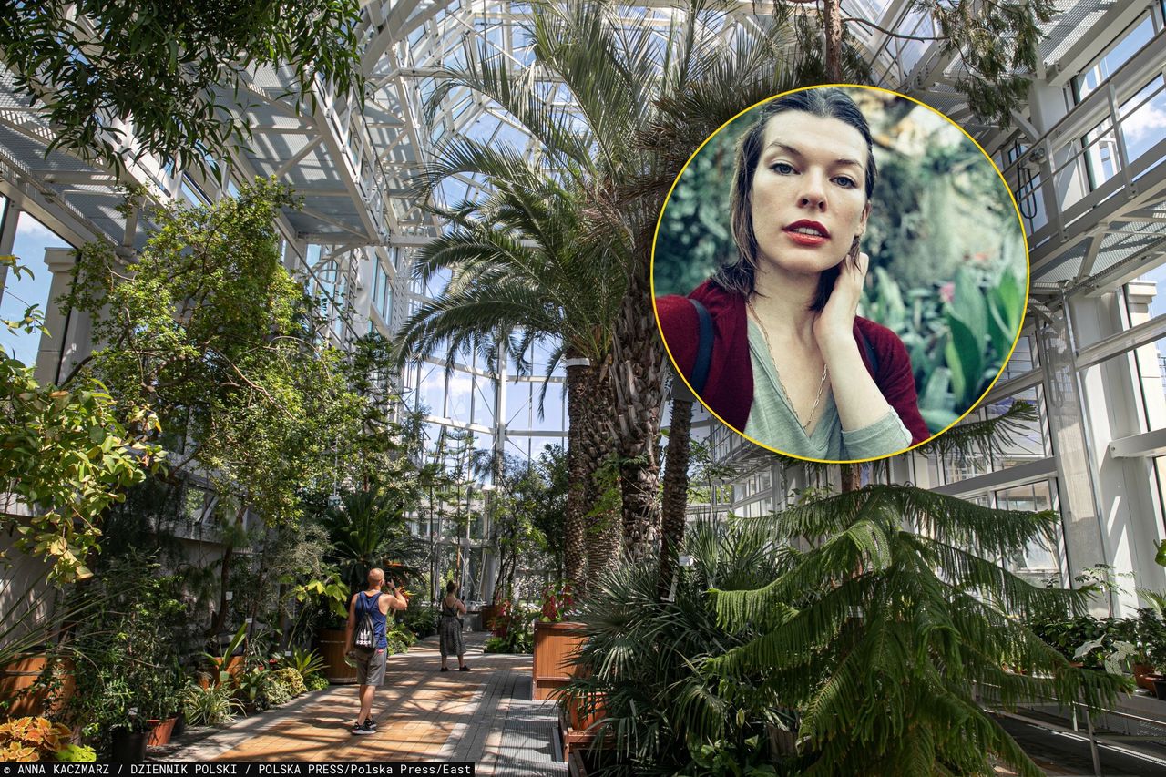 Milla Jovovich w Krakowie. Gwiazda zachwyca się ogrodem botanicznym