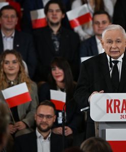 PiS bez subwencji. Polacy ocenili decyzję PKW