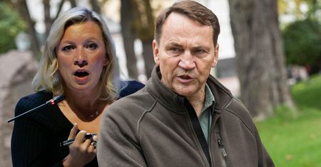 "Rusofobia mózgu". Sikorski rozsierdził Zacharową