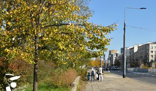 Warszawa. Nowa ulica Grochowska. Każdy może mieć wpływ na zmiany