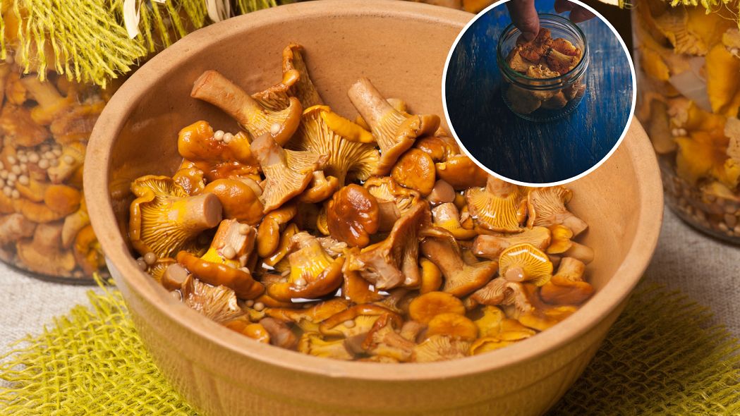 Kurkówka to naturalny sposób na odrobaczenie organizmu. Wspomaga też wątrobę i jelita