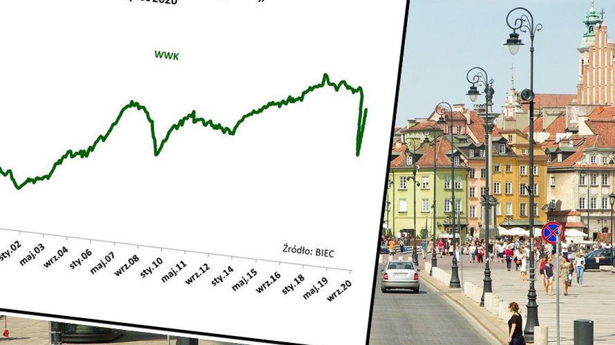 Nowe dane. Pierwszy pandemiczny szok z nami. 