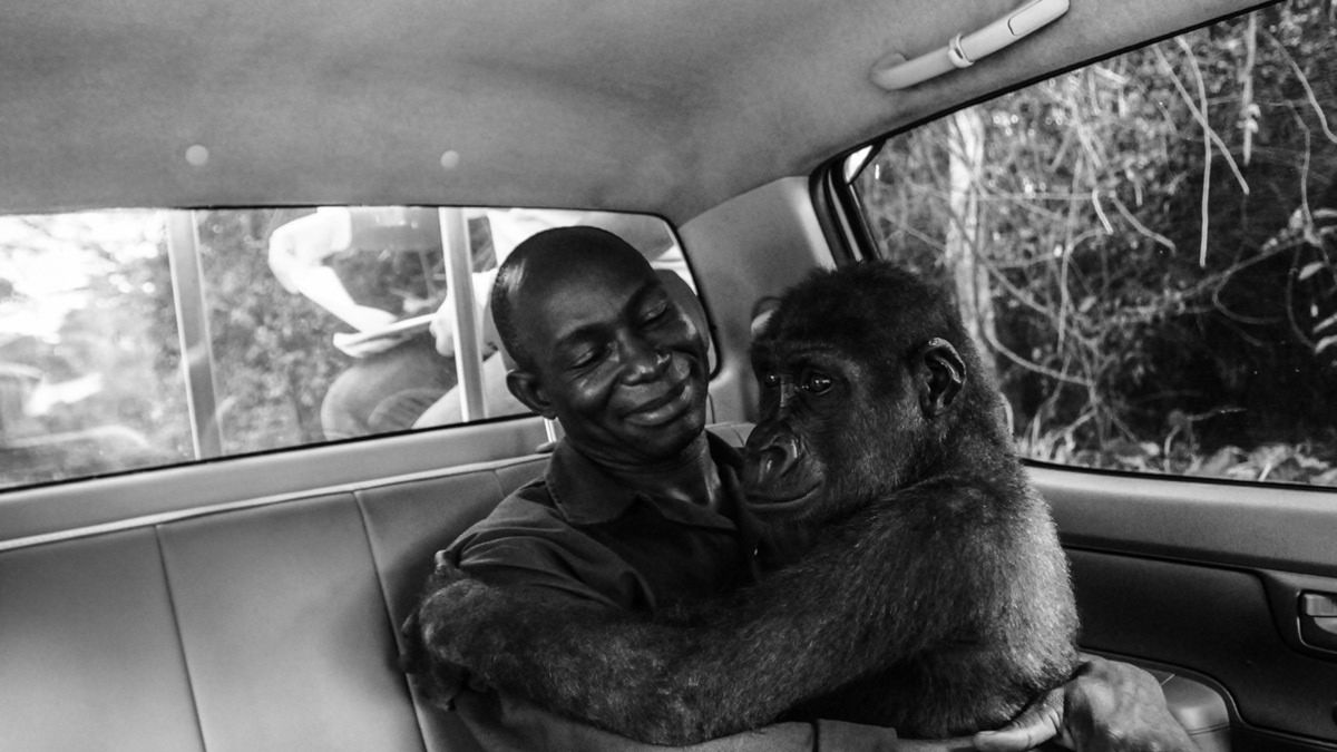 Publiczność wybrała ulubione zdjęcie w konkursie Wildlife Photographer of the Year 1