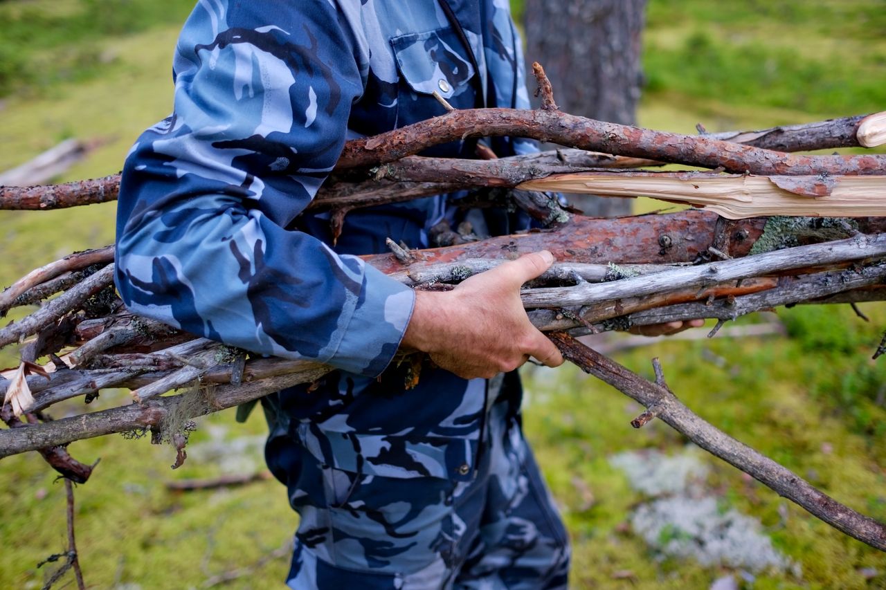 Zbieranie chrustu z lasu - co trzeba wiedzieć, by nie otrzymać mandatu?