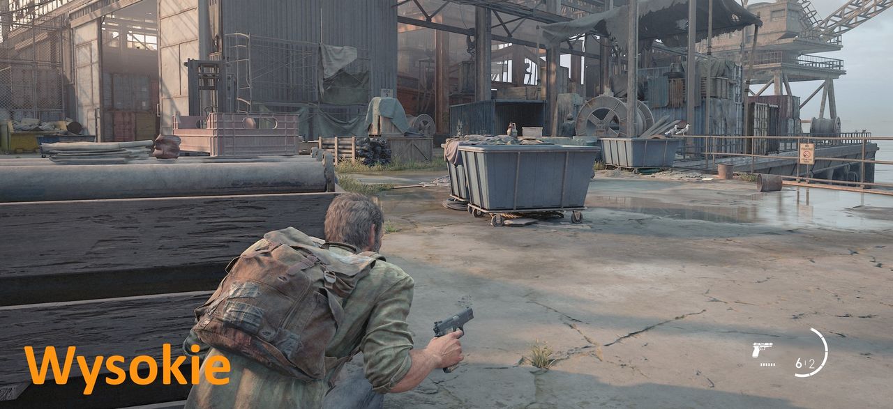 The Last of Us (PC) - detale wysokie