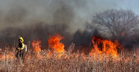Wypalanie traw. Niebezpieczna praktyka, za którą grożą wysokie kary