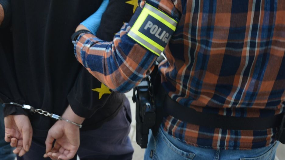 Fot. Licencjodawca
