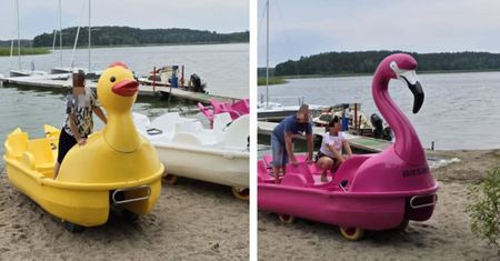 Ukradli "kaczkę" i "flaminga". Grozi im do pięciu lat więzienia