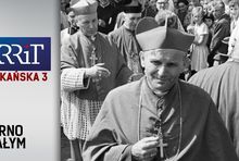 Zapowiedź reportażu