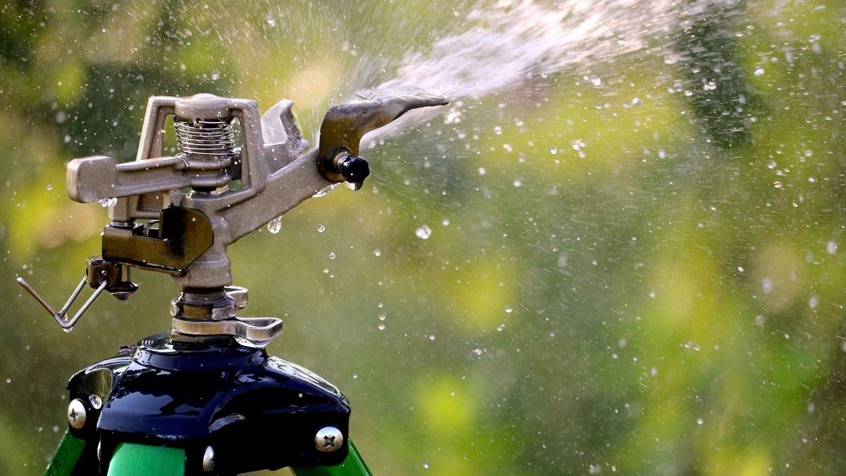zraszacz automatyczne nawadnianie podlewanie ogrodu
