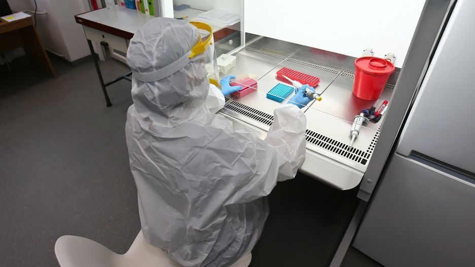 Badania w laboratorium (zdjęcie ilustracyjne) 