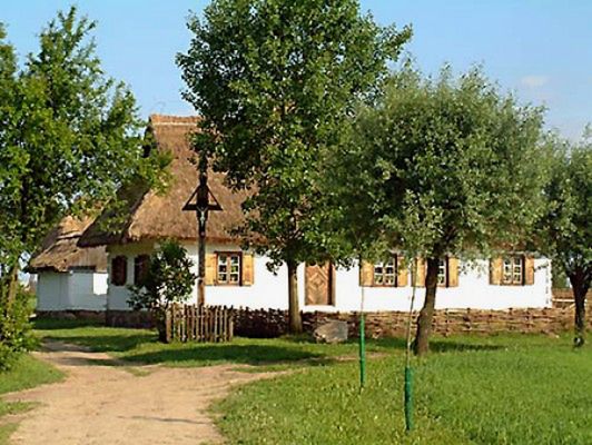 Obraz