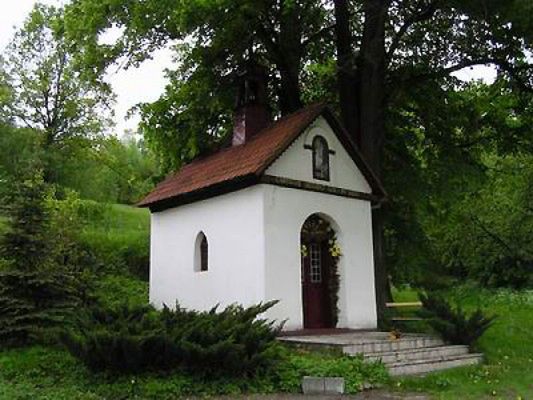 Obraz