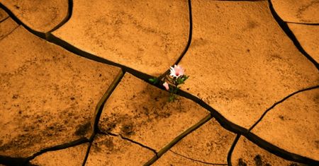 Pustynia Atacama. Najsuchsze miejsce na Ziemi