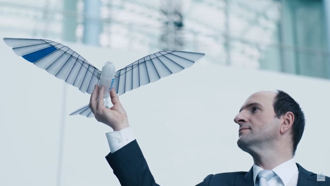Bioniczny ptak od niemieckiej firmy Festo
