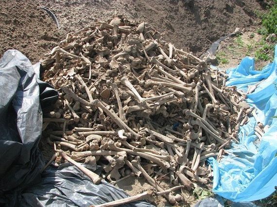 Nadarzyn. Robotnicy znaleźli 3000 ludzkich kości podczas budowy drogi