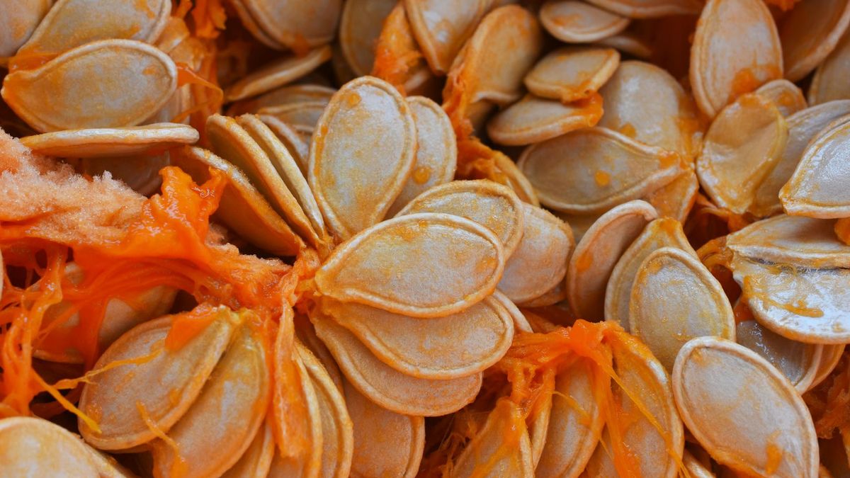 Pestki dyni mają wiele cennych właściwości zdrowotnych