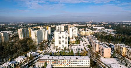 Wakacje kredytowe w 2024 roku. Eksperci mówią, ile będą kosztować
