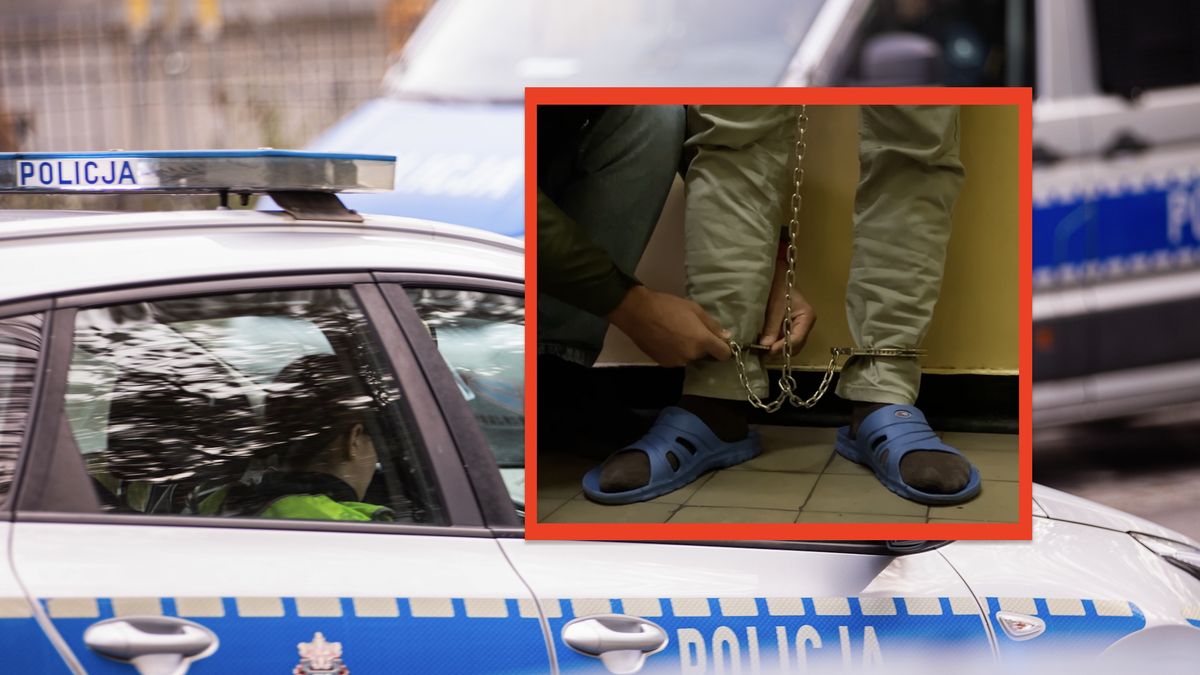 Policjanci zatrzymali "opiekunów" seniorów. Kobieta i jej syn pr