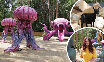 Skarżysko-Kamienna: Noe Park wkrótce rusza. Arka Noego była inspiracją