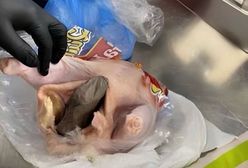 Totalne osłupienie po odkryciu w kurczaku na lotnisku w USA