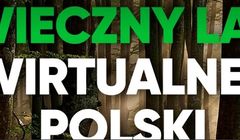 Wirtualna Polska wzięła pod ochronę las na Podlasiu
