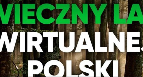 Wirtualna Polska wzięła pod ochronę las na Podlasiu
