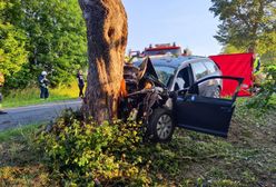 Tragedia na drodze. Audi z zmiażdżone na drzewie