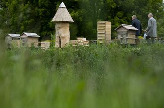 Unia Europejska miała chronić bioróżnorodność. Nie podołała. Jest raport i nowe rekomendacje