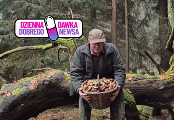 To jeszcze nie koniec. Zobaczcie, co wyniósł z lasu