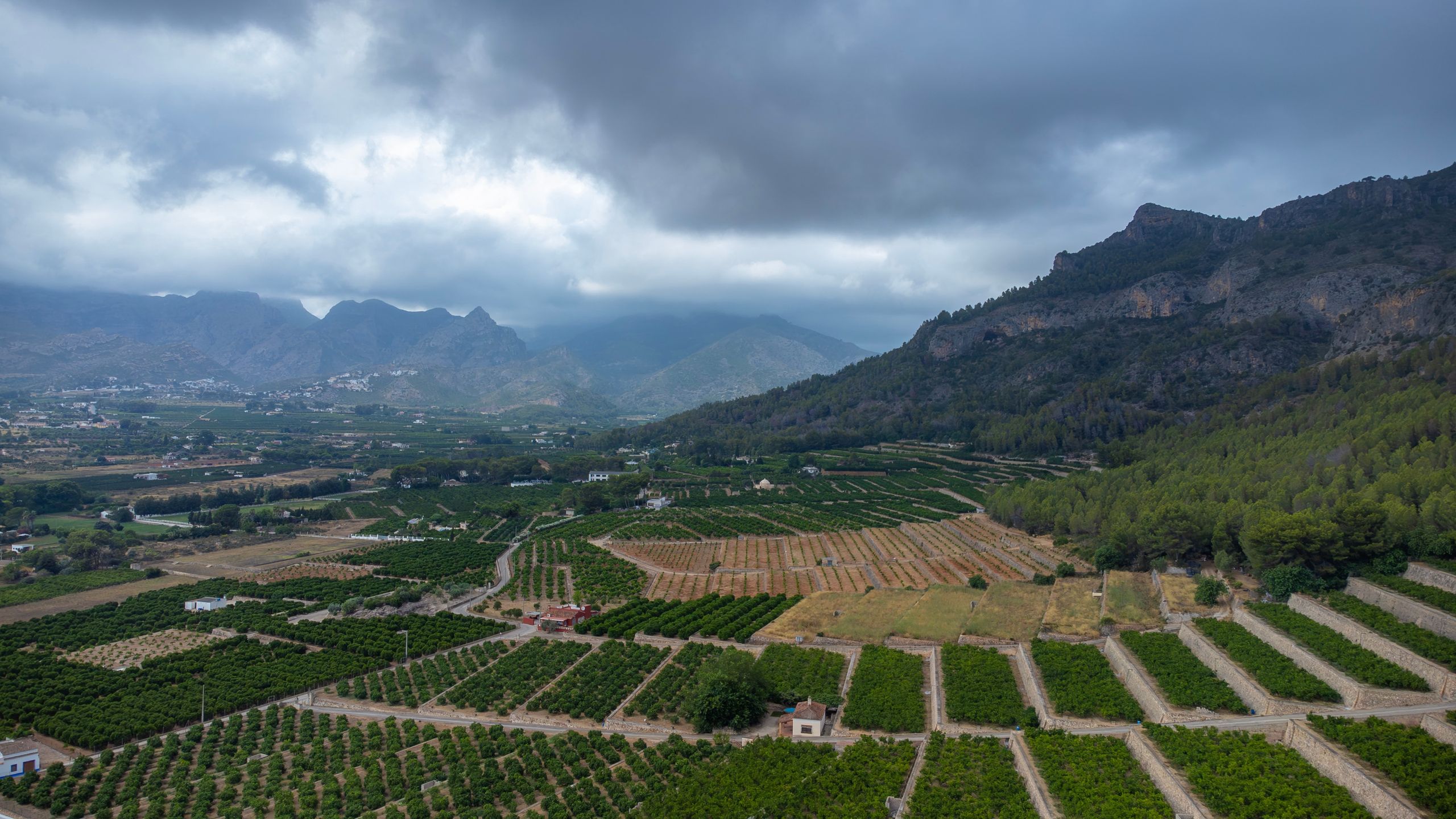 Burze i huragany przeszły przez prowincję Walencja