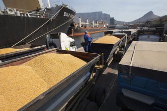 Ukraina oszacowała wpływy z eksportu zboża. "Miliard dolarów miesięcznie"