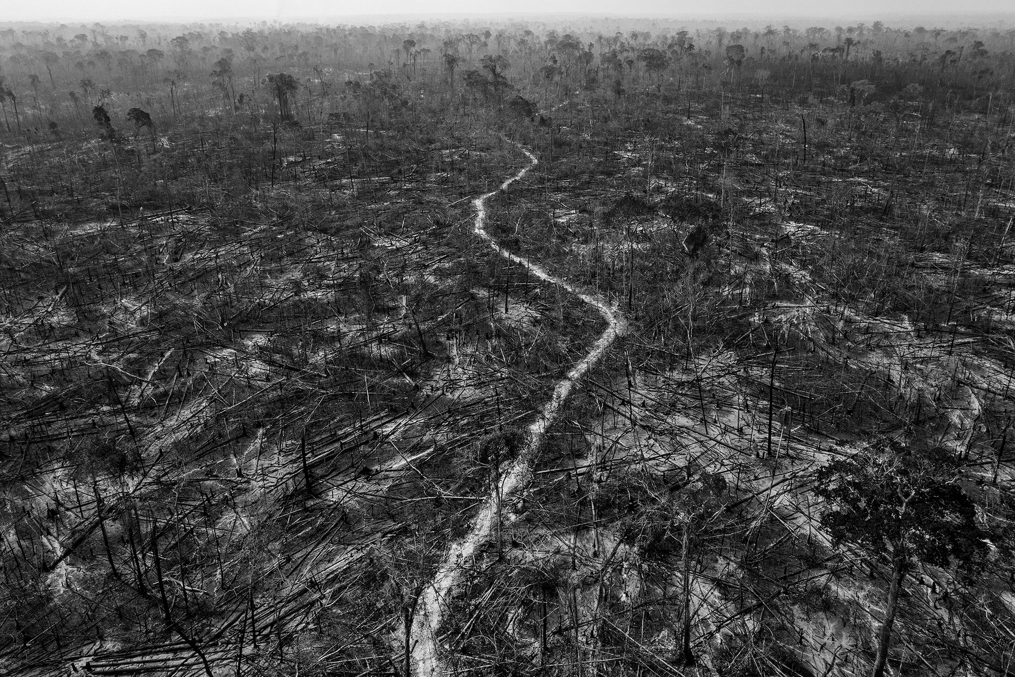 World Press Photo 2022 za nami. Oto najlepsi fotografowie na świecie 13
