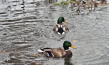 Mgły, deszcz i wiatr 90 km/h. Prognoza na weekend
