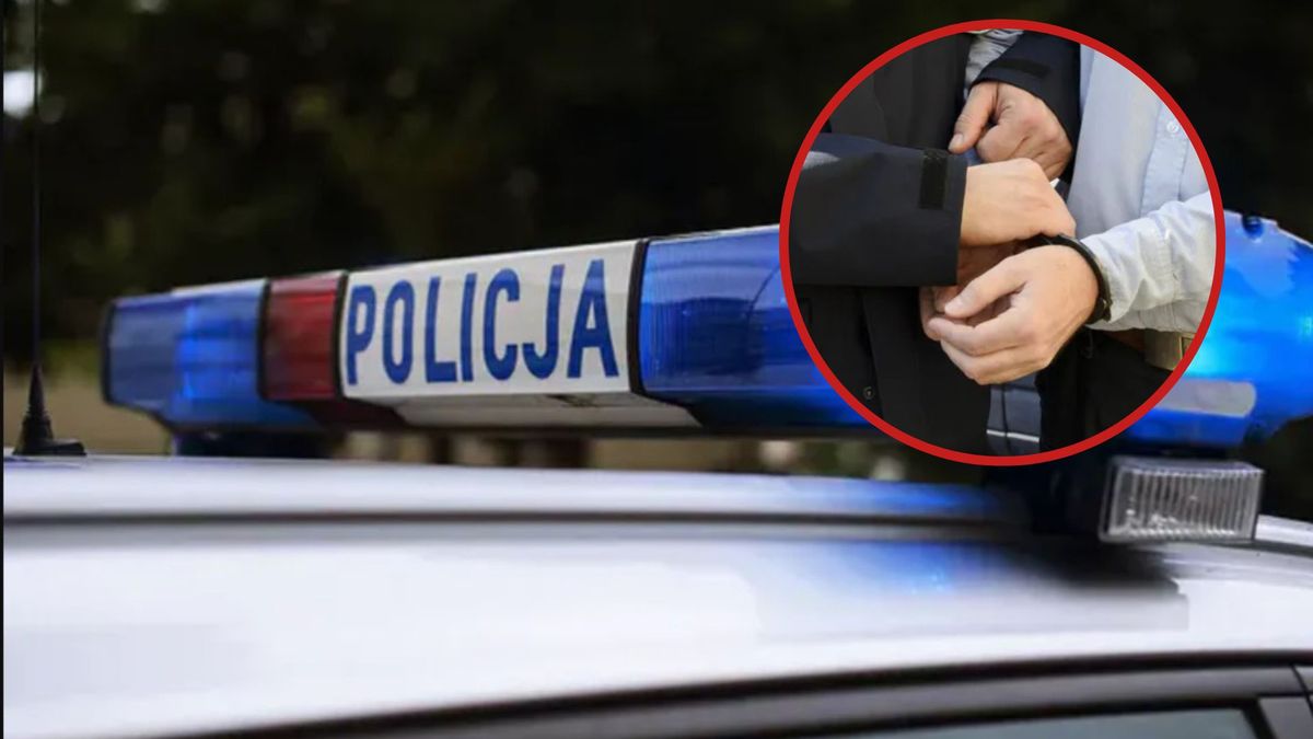 14-latek zgwałcił 18-latkę? Policję wezwała matka chłopca