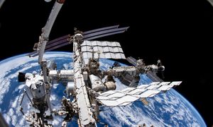 Mikroglony znów polecą w kosmos? ESA ma dla nich ważną misję