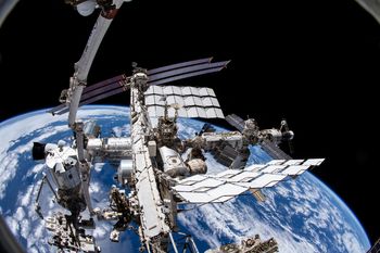 Mikroglony znów polecą w kosmos? ESA ma dla nich ważną misję