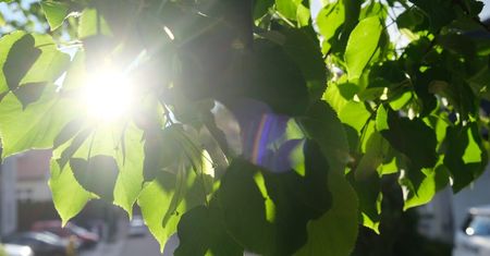 Burze, deszcz i słońce na finiszu — prognoza pogody dla województwa lubelskiego na nadchodzący tydzień (18–23 maja)
