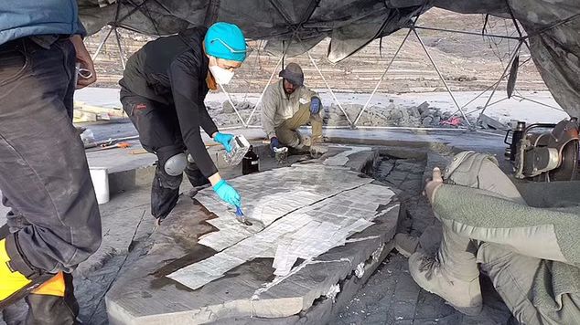 Ekspedycja archeologiczna