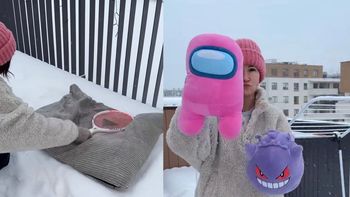 Wystawiła pluszaki na mróz. Ten trik robi furorę