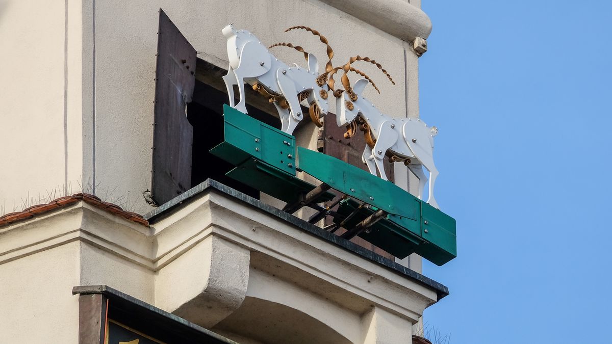 city, symbol, goats, town hall, poznan, old town