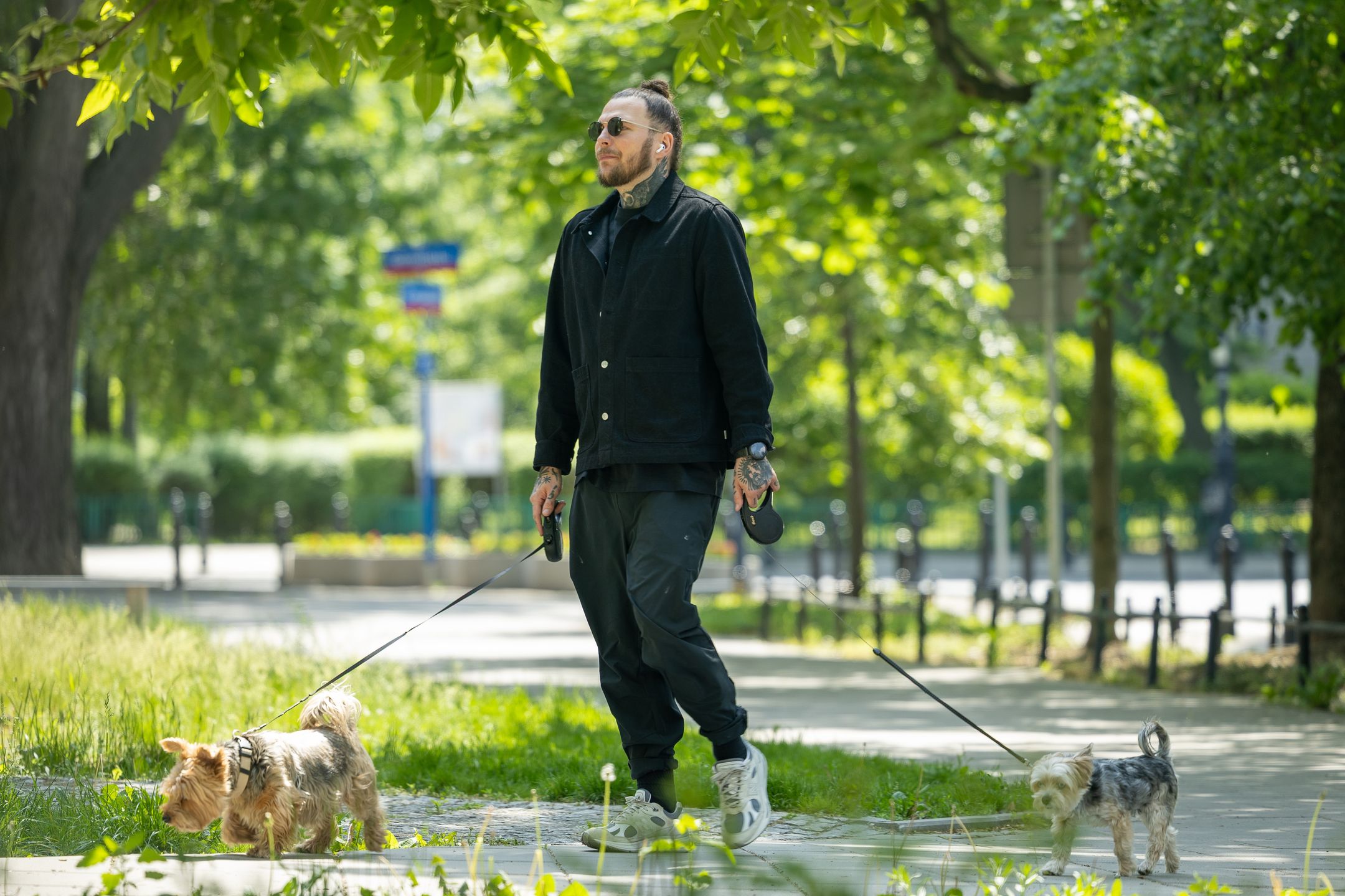 Żurnalista na spacerze z psami