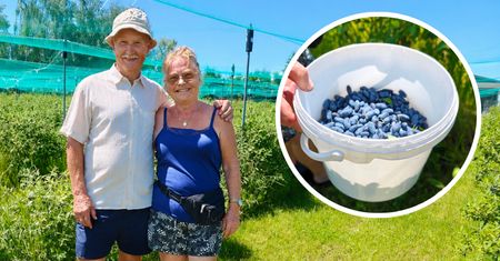 Zamiast spa wybierają rządek numer pięć. Zaczęło się od kilku krzaków z Niemiec