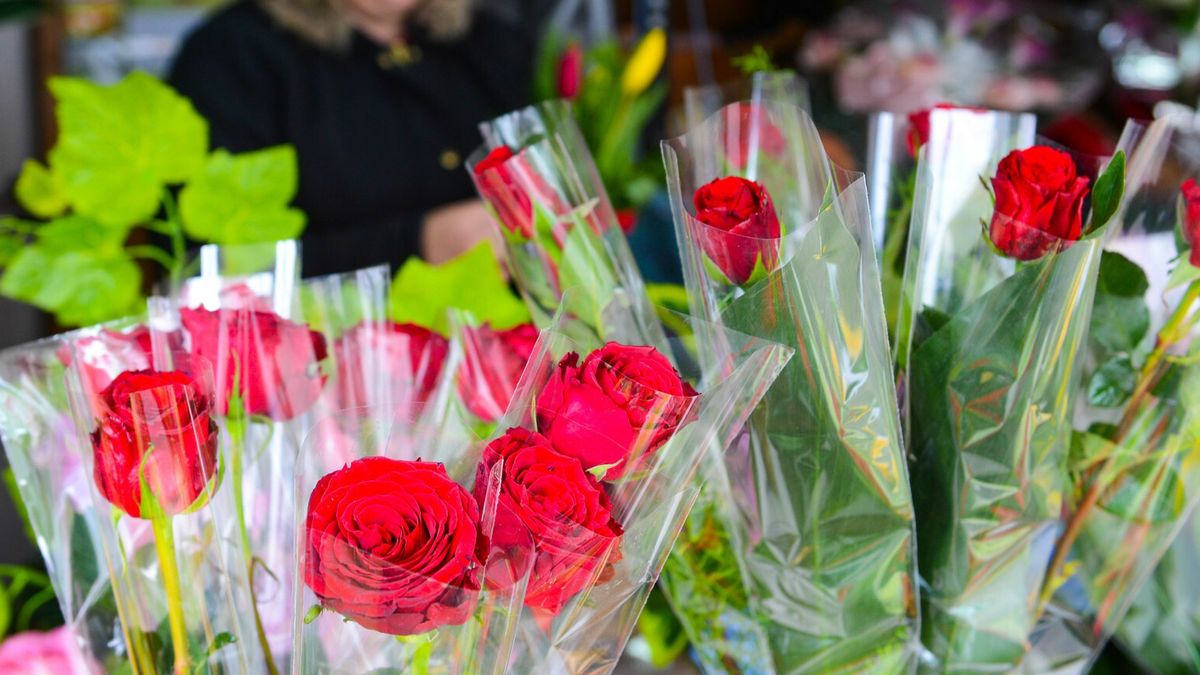 Jakie kwiaty kupić w walentynki?