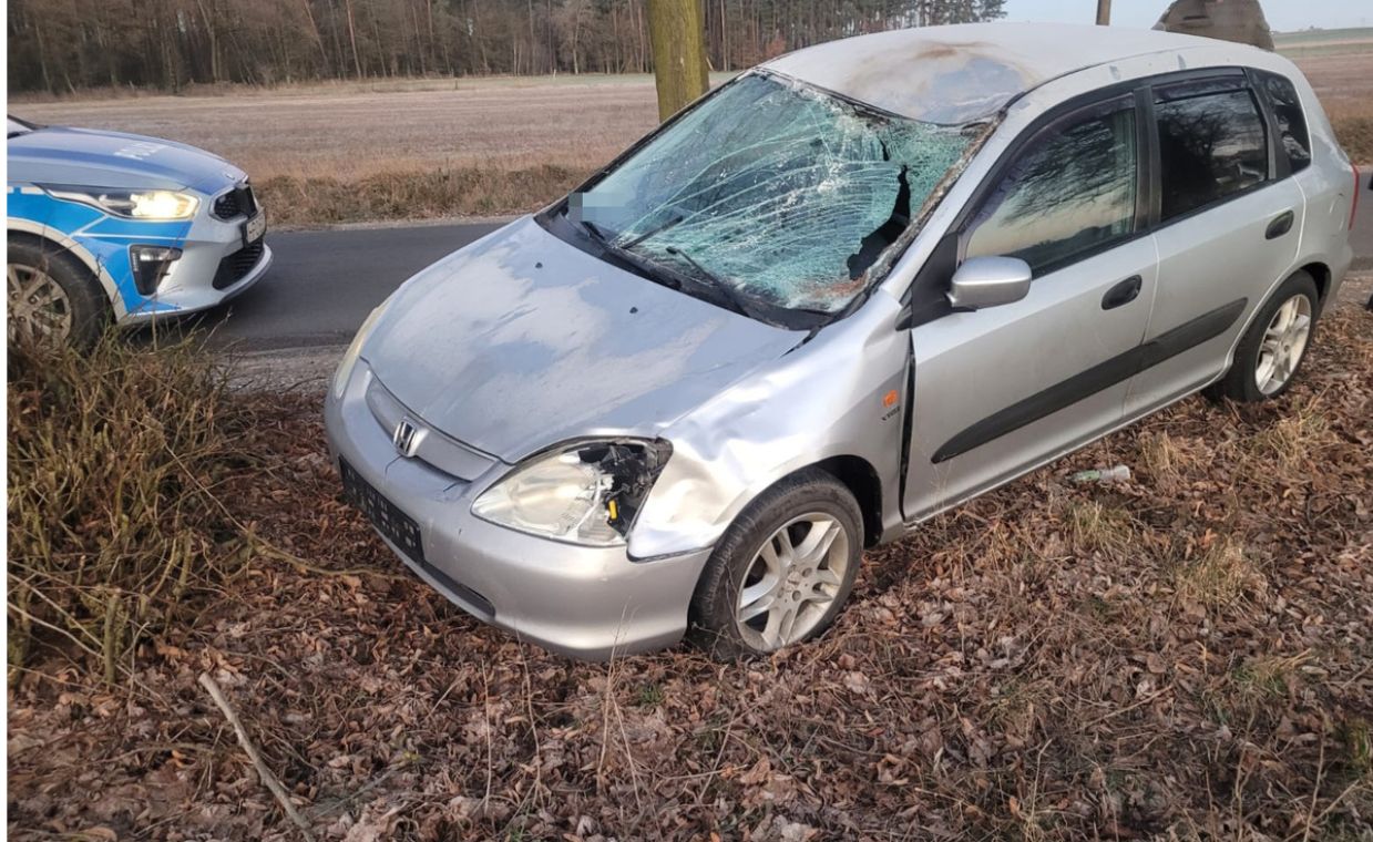 Śmiertelnie potrąciła konia. Mandat dla właściciela