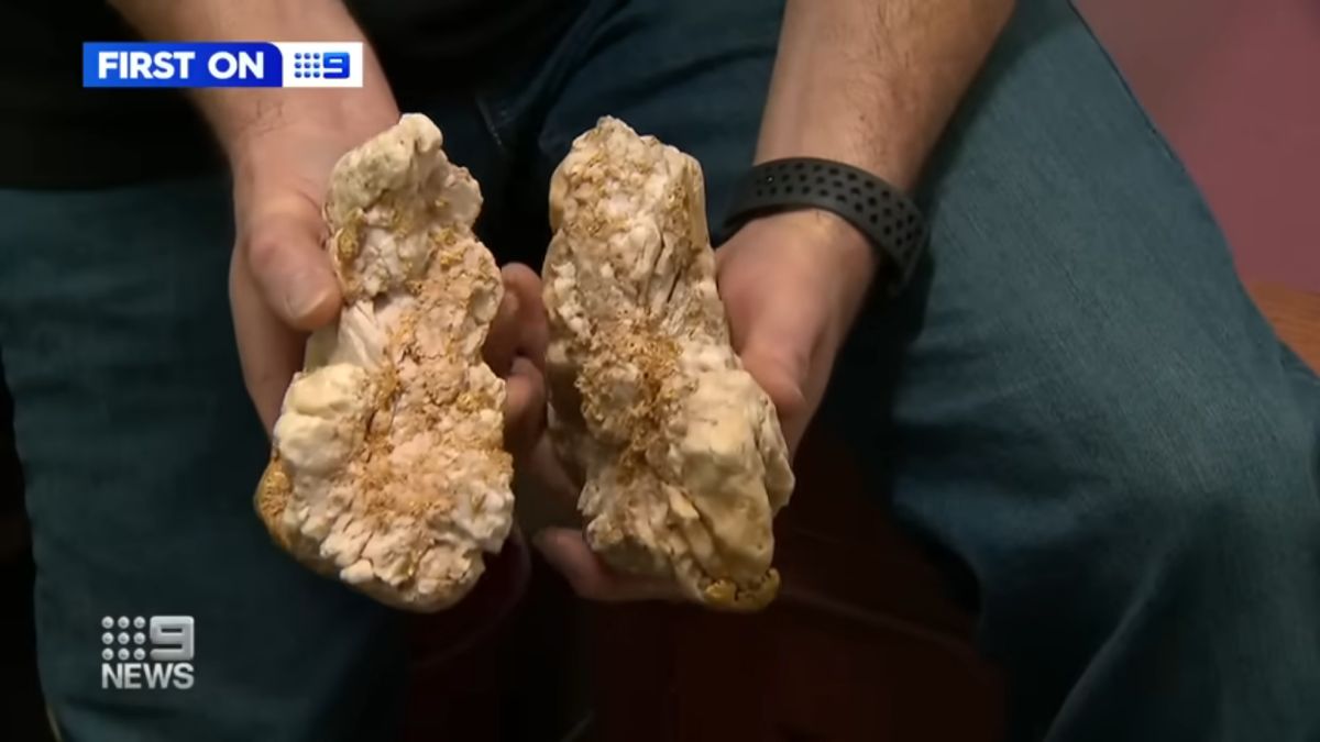 Takie znalezisko to rzadkość!