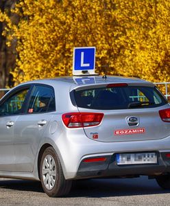 Chaos w egzaminach na prawo jazdy. To się zmieni 1 lipca